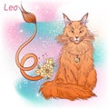 Cat zodiac color Leo