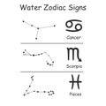 Zodiac water elements vector signs