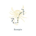 Zodiacal constellation of Scorpion on background of drawn symbol in engraving style.Vector illustration of sign Scorpio.