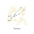 Zodiacal constellation of Taurus on background of drawn symbol in engraving style. Vector illustration of sign Bull.