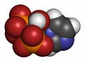 Zoledronic acid (zoledronate) osteoporosis drug molecule (bisphosphonate class). Atoms are represented as spheres with