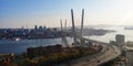 Zolotoy bridge. Vladivostok Royalty Free Stock Photo