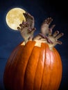 Zombi pumpkin Royalty Free Stock Photo