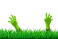 Zombie hands in grass