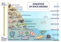 Zonation of rock shores with underwater species and organisms outline diagram Royalty Free Stock Photo