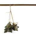 Zongzi hang on wood isolated on white with space Royalty Free Stock Photo