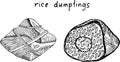 Zongzi - rice dumplings. Chinese food. Sketch black and white illustration. Hand drawn artwork. Vector art