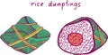 Zongzi - rice dumplings. Chinese food. Sketch colorful bright illustration. Hand drawn artwork. Vector art