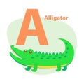 Zoo ABC Letter with Cute Alligator Cartoon Vector Royalty Free Stock Photo