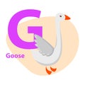 Zoo ABC Letter with Cute goose Cartoon Vector Royalty Free Stock Photo