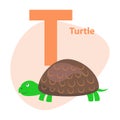 Zoo ABC Letter with Cute Turtle Cartoon Vector Royalty Free Stock Photo