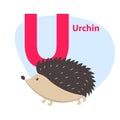 Zoo ABC Letter with Cute Urchin Cartoon Vector