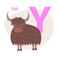 Zoo ABC Letter with Cute Yak Cartoon Vector Royalty Free Stock Photo