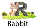 Zoo animal alphabet R for Rabbit with the good animation