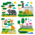 Zoo animals and birds cartoon vector illustration