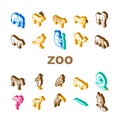 Zoo Animals, Birds And Snake Icons Set Vector Royalty Free Stock Photo