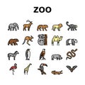 Zoo Animals, Birds And Snakes Icons Set Vector Royalty Free Stock Photo