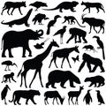 Zoo animals vector illustration