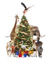 Zoo Animals Decorating Christmas Tree