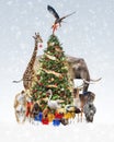 Zoo Animals Decorating Christmas Tree in Snow Royalty Free Stock Photo