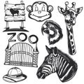 Zoo flat set with animals and birds landscape elements and park items isolated on white background vector
