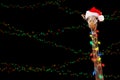 Zoo Giraffe Wearing Christmas Lights Royalty Free Stock Photo