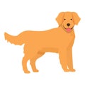 Zoo golden retriever icon cartoon vector. Canine pet