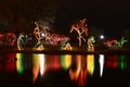 Zoo Light Festival