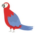 Zoo macaw icon cartoon vector. Nature bird