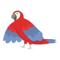 Zoo macaw icon cartoon vector. Tropical bird
