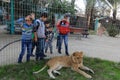 The zoo in Rafah gives visitors a chance to play with animals in the Gaza Strip