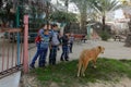 The zoo in Rafah gives visitors a chance to play with animals in the Gaza Strip