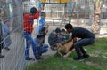 The zoo in Rafah gives visitors a chance to play with animals in the Gaza Strip