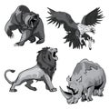 Zoo rhino, hawk, grizzly bear and savannah lion Royalty Free Stock Photo