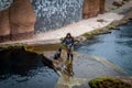 A zookeeper feeding young african fur seal (Arctocephalus) at the pool in the zoological garden.