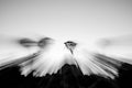 Zoom blur magical effect long exposure in Quiver Tree Forest Royalty Free Stock Photo