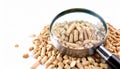 Magnified Sustainability: Wood Pellets Under the Lens