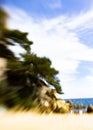 Zoom effect on coastal landscape with trees, cliffs, and beach under bright blue sky creating dynamic blur Royalty Free Stock Photo