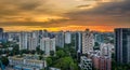 Zoom in Orchard during sunset Royalty Free Stock Photo