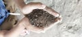 Zoom photo of little boy's hand holding sand Royalty Free Stock Photo