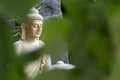 A zoom-in shot of Buddha statue through the green bushes. Enlightment concept