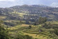 Zoom view of Golo Cador Rice Terraces Royalty Free Stock Photo