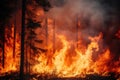 Zoomed in, the close-up photo reveals the relentless advance of a forest fire, showcasing the relentless power of