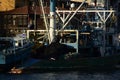 Zoomed view of fishing boat in Sariyer bay. Sariyer is a district of Istanbul, at the end of the Bosphorus strait to the north in