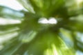 Zooming effect in nature Royalty Free Stock Photo