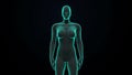 Zooming female Human body scanning internal organs, Digestion system.Blue X-ray light