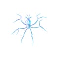 Zooplankton Realistic Icon