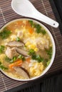 Zosui is a comforting Japanese rice soup cooked in a savory dashi broth with vegetables, eggs, mushrooms, and chicken close-up in