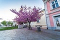 Zrenjanin, Serbia, April 25 2023, the main central square in Zrenjanin