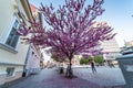 Zrenjanin, Serbia, April 25 2023, the main central square in Zrenjanin